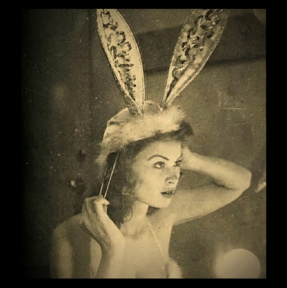 Meet your Posher, Savannah - Picture 1 of 1